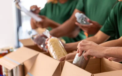 Understanding the Broad Range of Charity Accounting Services: Going Beyond Mandatory Accounts Submissions