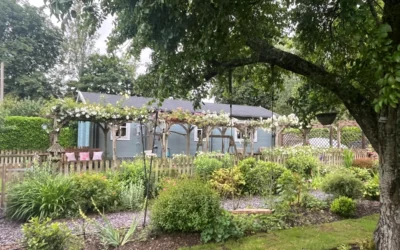 Growing a Thriving Team – Lessons from the Garden