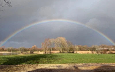 The Power of Today: Why Small Steps Shape Everything