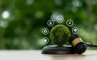 The 21 Irrefutable Laws of Leadership – What They Mean for Business Owners