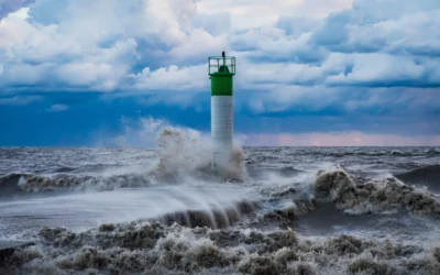 Positive Paranoia: Why Successful Businesses Prepare Before They Need To